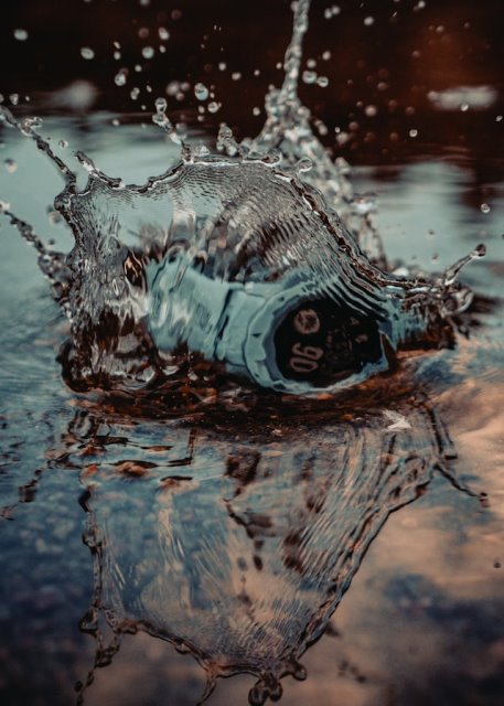 ������� ������ Garmin: �������� �� �� 1 ����?