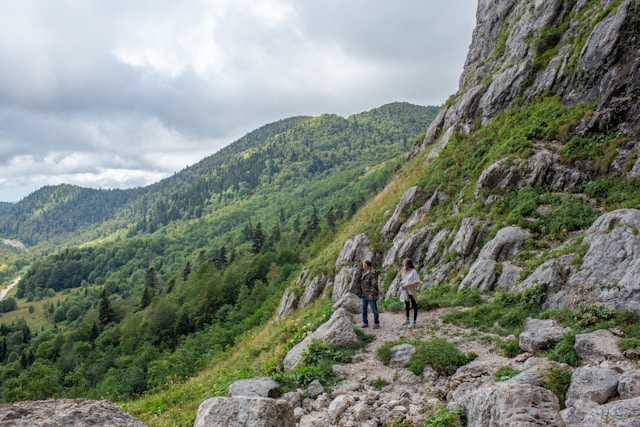 ������: ��� ��������� �����������. ��� ��������� ����� � �����