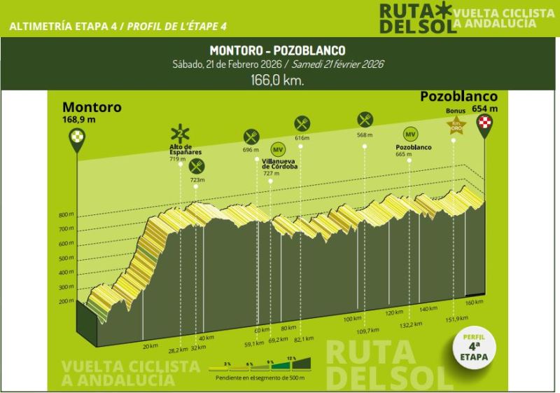 ������� ���������-���� ���� ����-2026. ������� � ���������