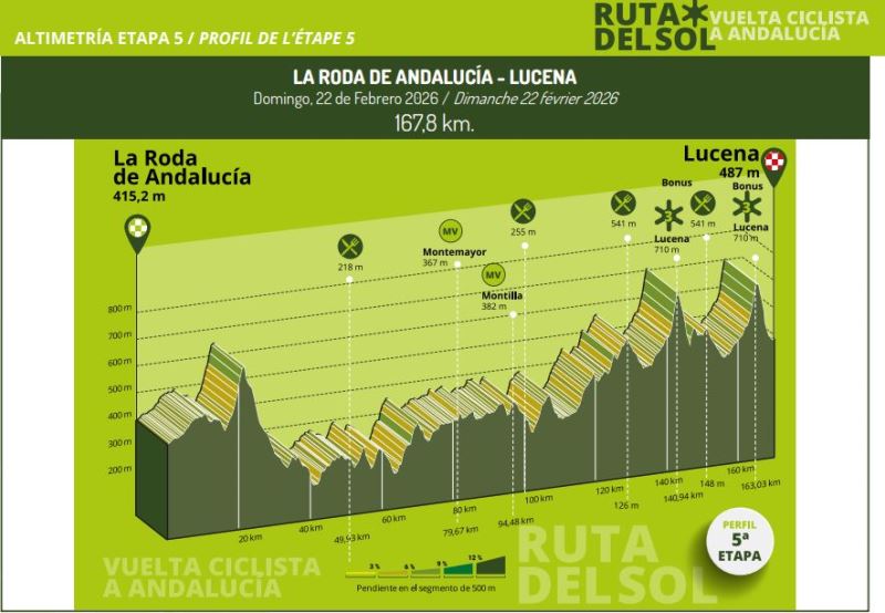 ������� ���������-���� ���� ����-2026. ������� � ���������