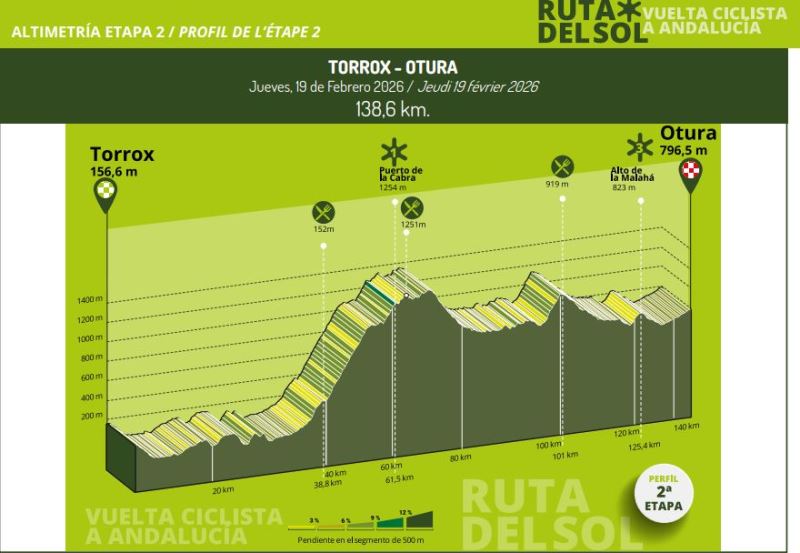 ������� ���������-���� ���� ����-2026. ������� � ���������