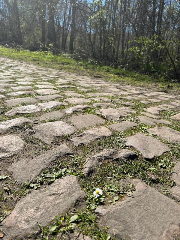 Париж – Рубэ -2026. Маршрут и участники Париж – Рубэ -2026. Маршрут и участники