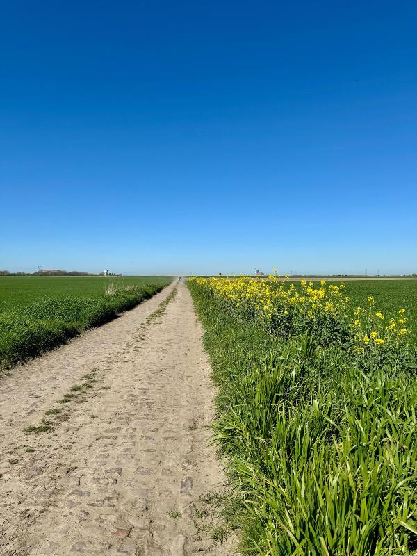 Париж – Рубэ -2026. Маршрут и участники Париж – Рубэ -2026. Маршрут и участники