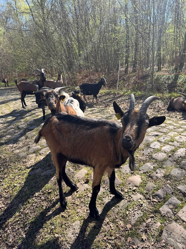 �������� ����� &ndash; ���� � ������ ���������� � ������� �������: &laquo;�������� ����� � �����&raquo;