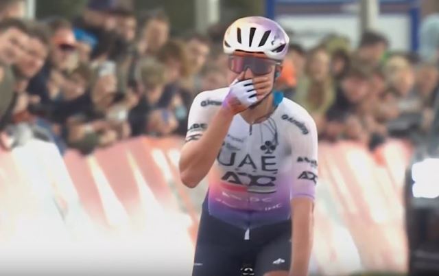 ������ ���� ����-2026. �������. ����������