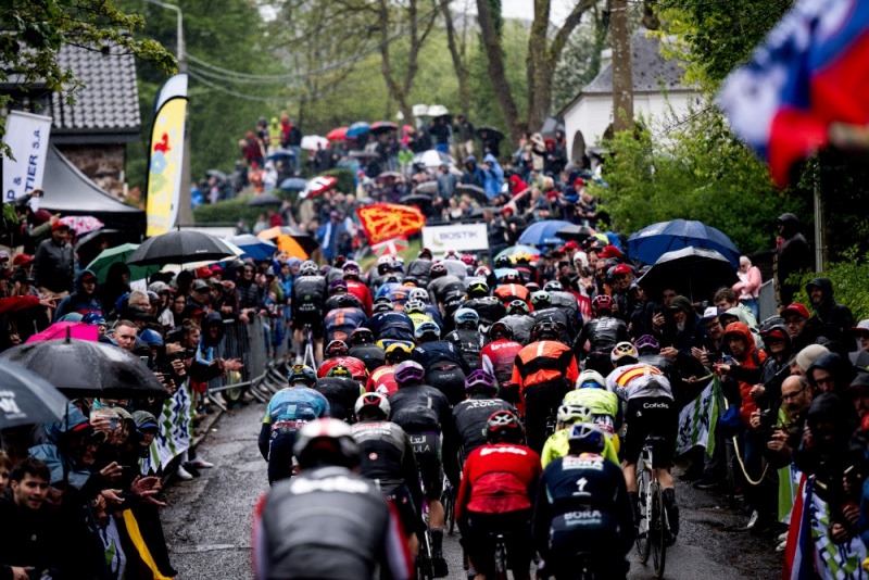 ���� �������-2026. ������� � ���������