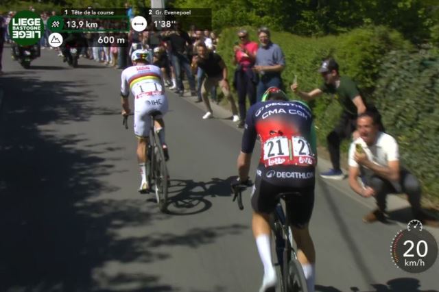 ����-�������-����-2026. ����������