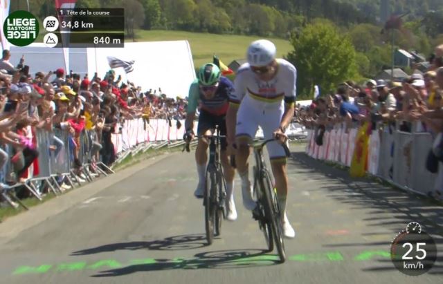 ����-�������-����-2026. ����������