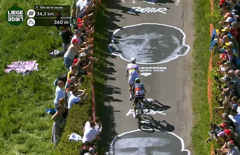 ����� ������� &mdash; ���������� ���� &ndash; ������� &ndash; ����-2026